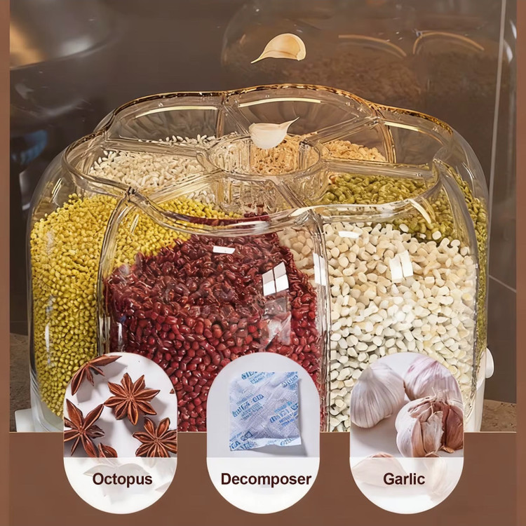 جا حبوباتی چرخشی سایز بزرگ GRAIN با 6 خانه مجزا