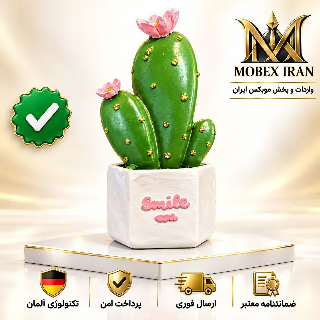 دکوری کاکتوس رومیزی سبز و مشکیارسال فوریخریداقساطی