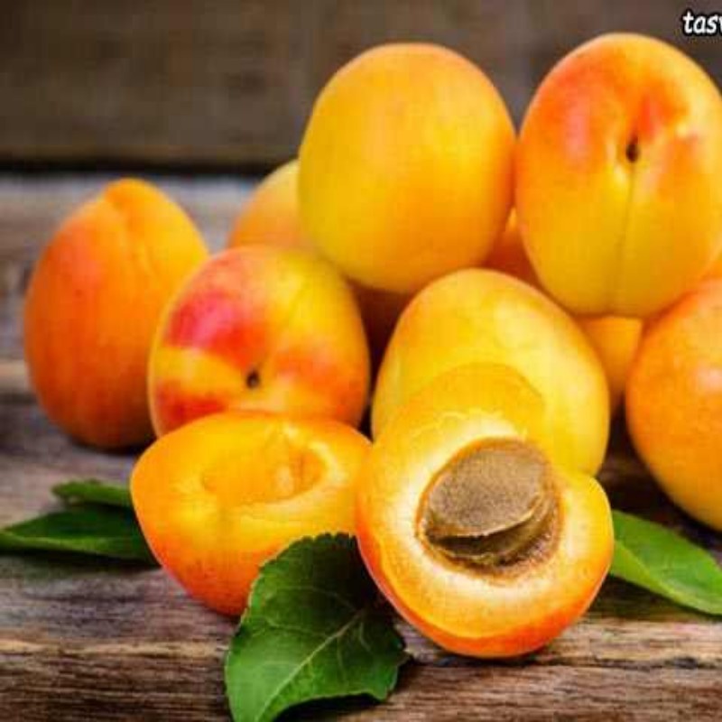 پودر شربت زردآلو آلتونسا ترکیه طعم طبیعی و غلظت عالی