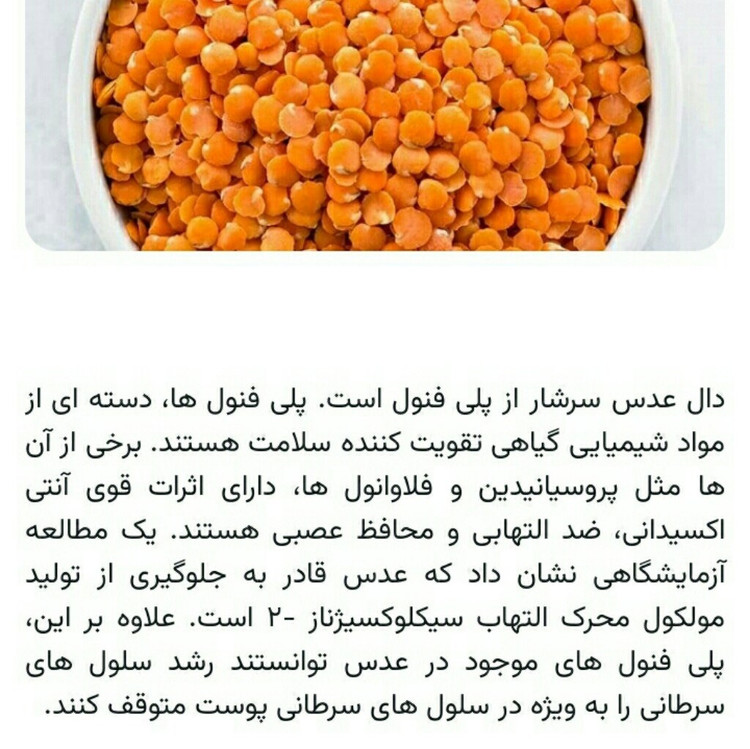 عدس قرمز ( دال عدس ) 800 گرم محصول ترکیه بسیار خوش طعم و پرخاصیت